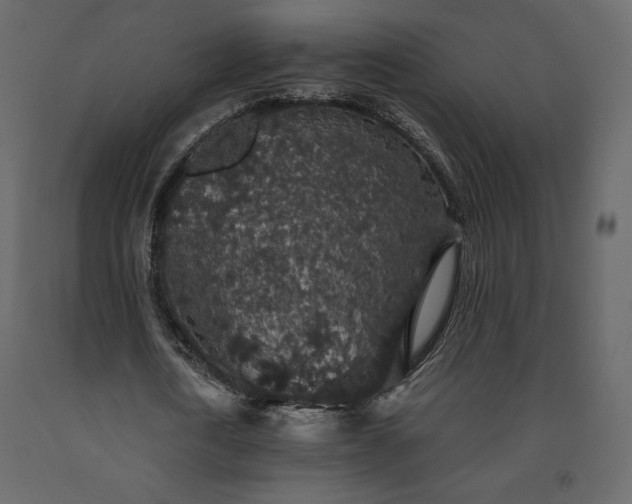 X0000091550722200708241755