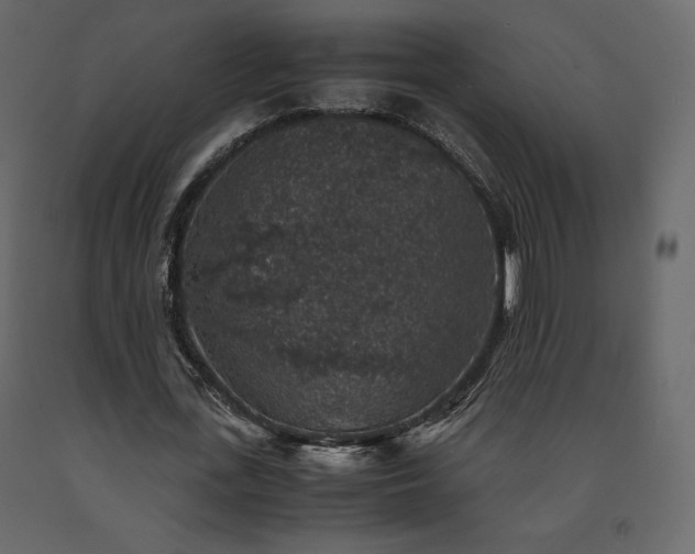 X0000091550723200708241755
