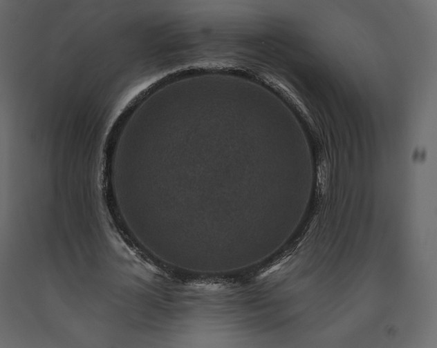 X0000091550724200708241755