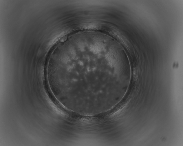 X0000091550725200708241755