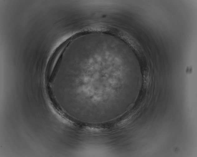 X0000091550726200708241755