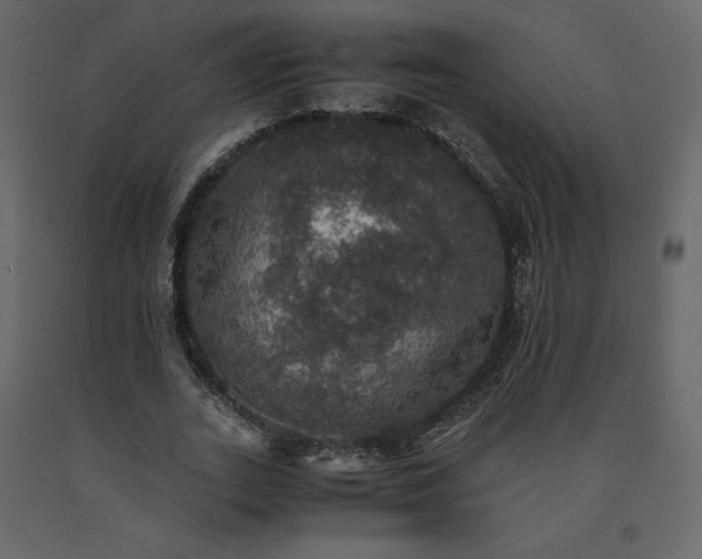 X0000091550727200708241755