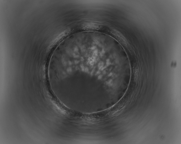 X0000091550729200708241755