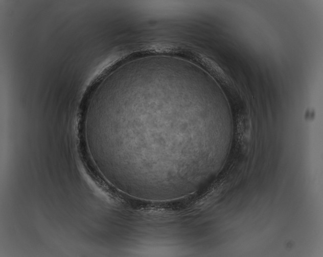 X0000091550730200708241755