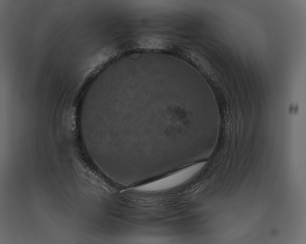 X0000091550731200708241755