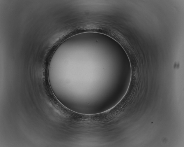 X0000091550732200708241755