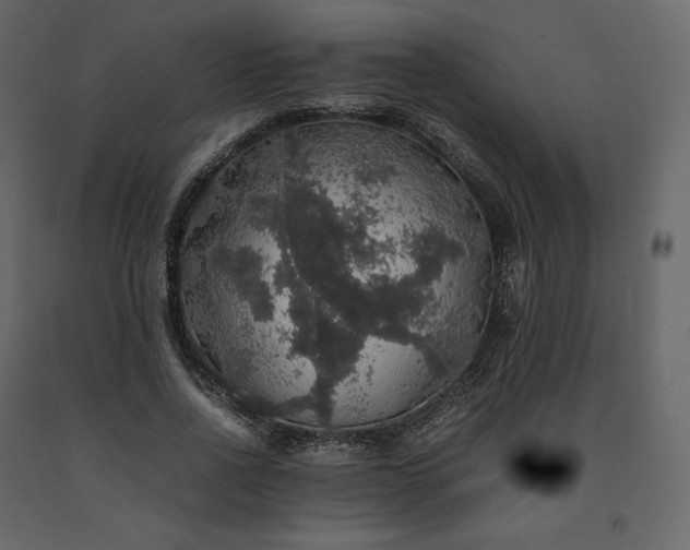 X0000091550734200708241755