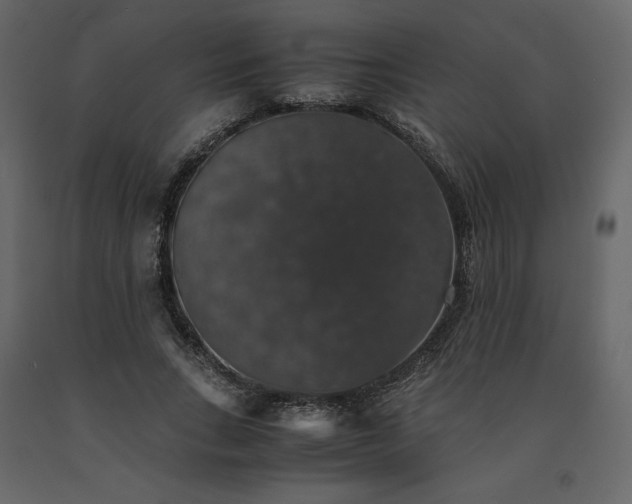 X0000091550735200708241755