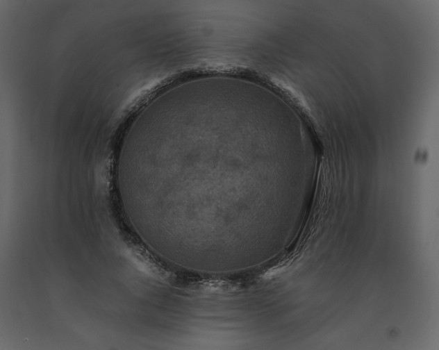 X0000091550736200708241755