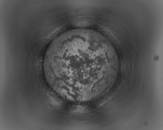 X0000091550737200708241755