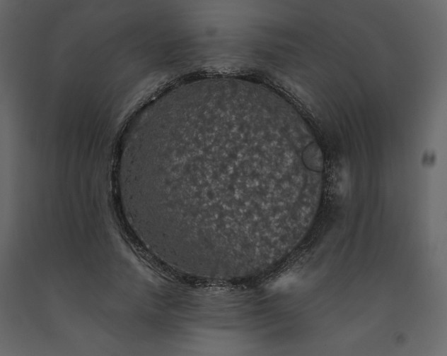 X0000091550738200708241755