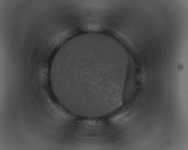 X0000091550739200708241755