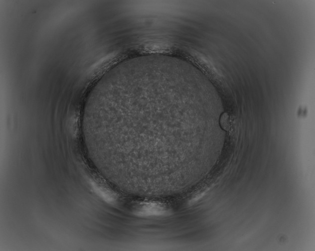 X0000091550741200708241755