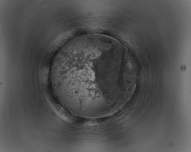 X0000091550742200708241755