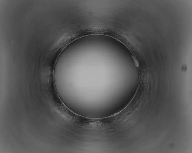 X0000091550744200708241755