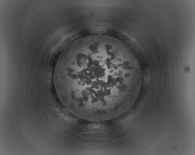 X0000091550745200708241755