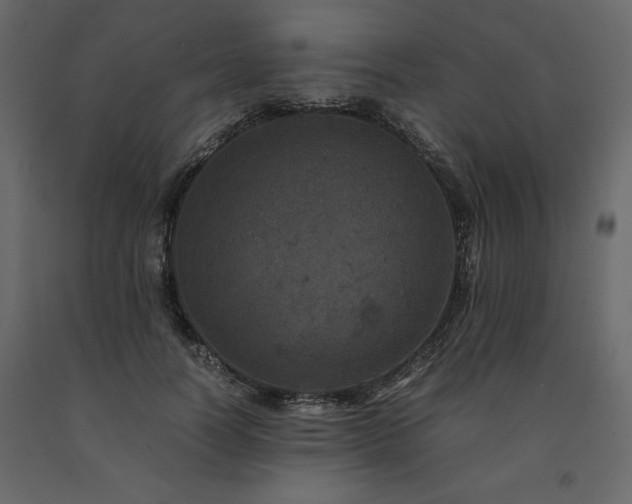 X0000091550746200708241755