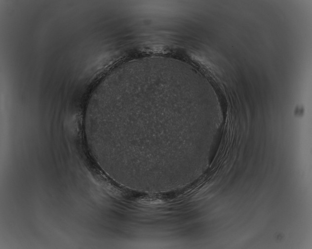 X0000091550747200708241755