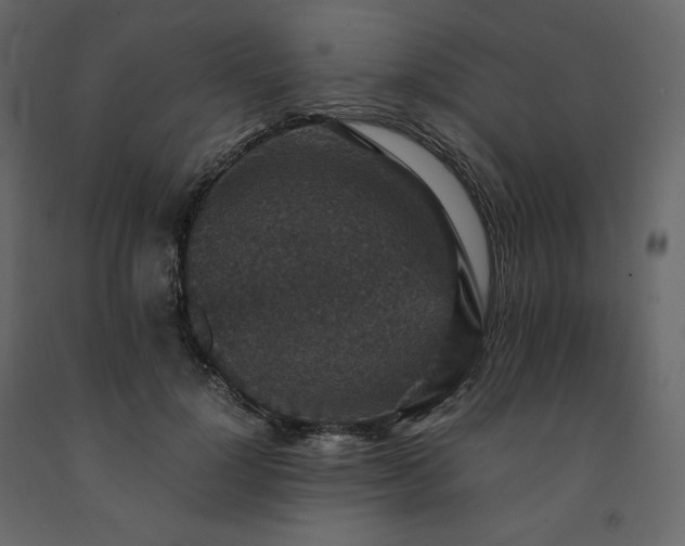 X0000091550748200708241755