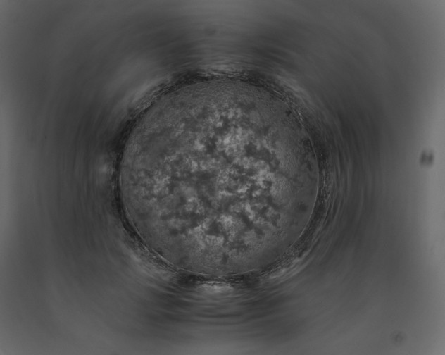 X0000091550749200708241755