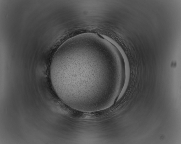 X0000091550750200708241755