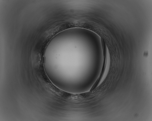 X0000091550752200708241755