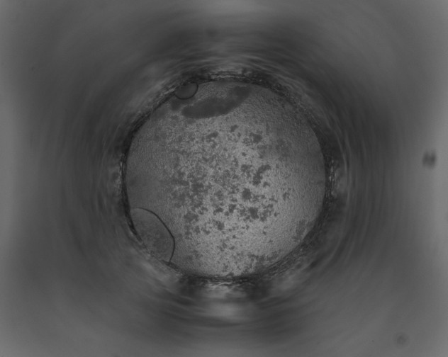 X0000091550753200708241755