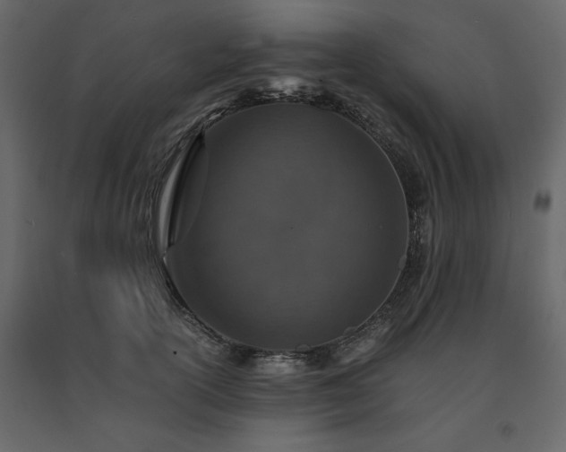 X0000091550754200708241755