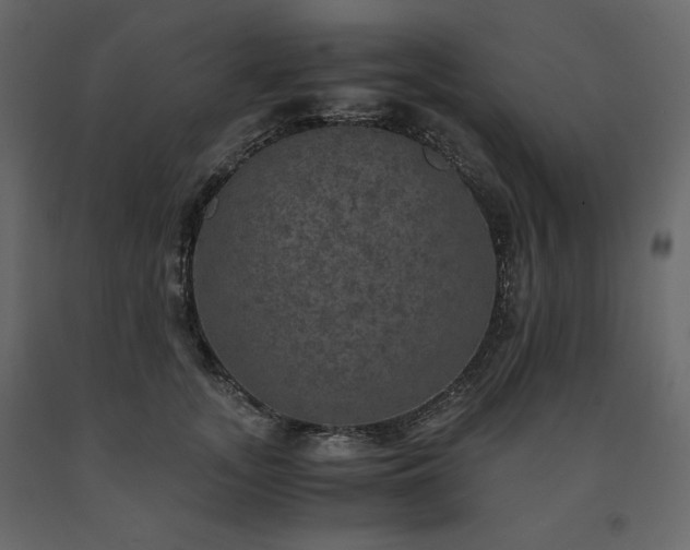 X0000091550755200708241755