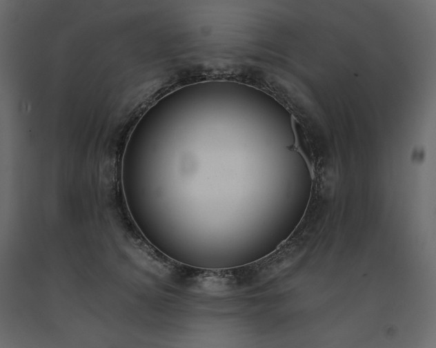 X0000091550756200708241755