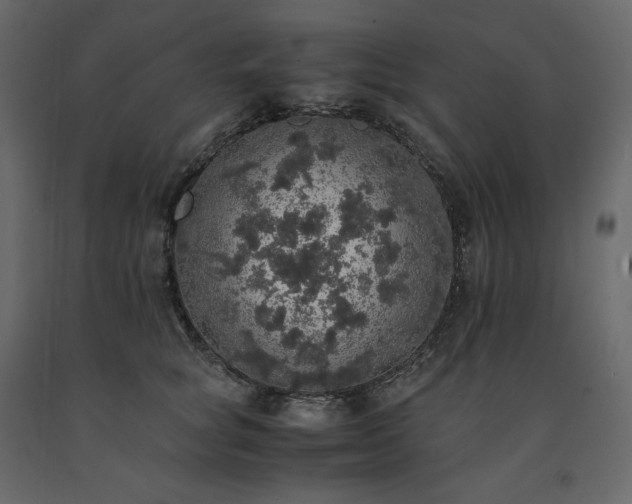 X0000091550757200708241755