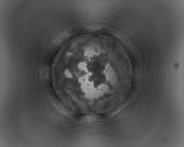 X0000091550758200708241755
