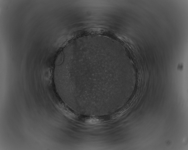 X0000091550759200708241755