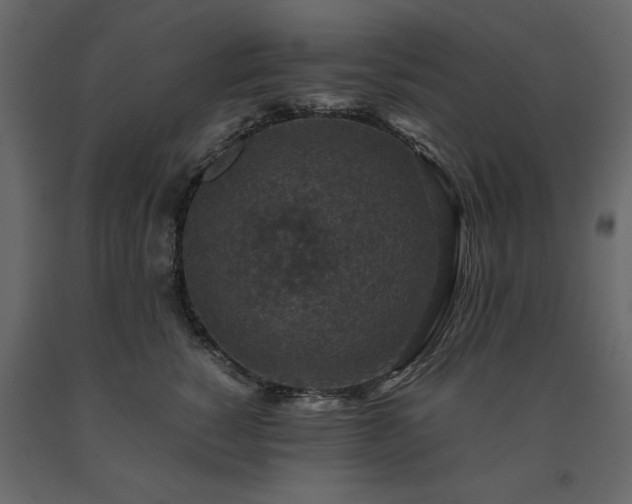 X0000091550760200708241755