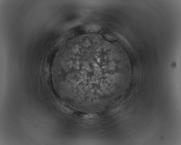 X0000091550761200708241755