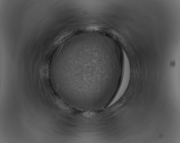 X0000091550762200708241755