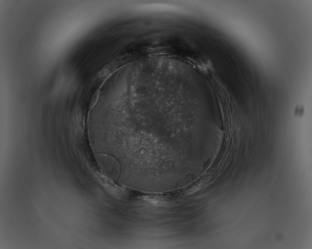 X0000091550763200708241755