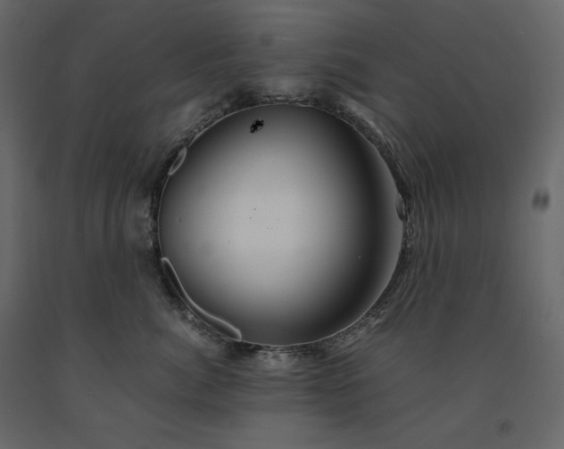 X0000091550764200708241755