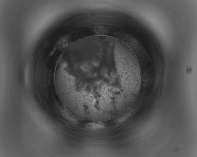X0000091550765200708241755