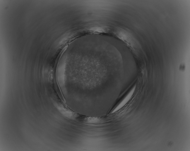 X0000091550766200708241755