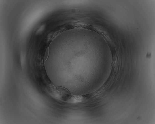 X0000091550767200708241755