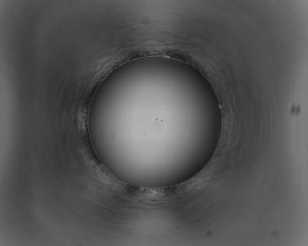 X0000091550768200708241755