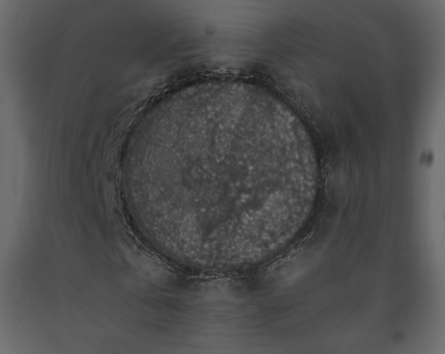 X0000091550769200708241755
