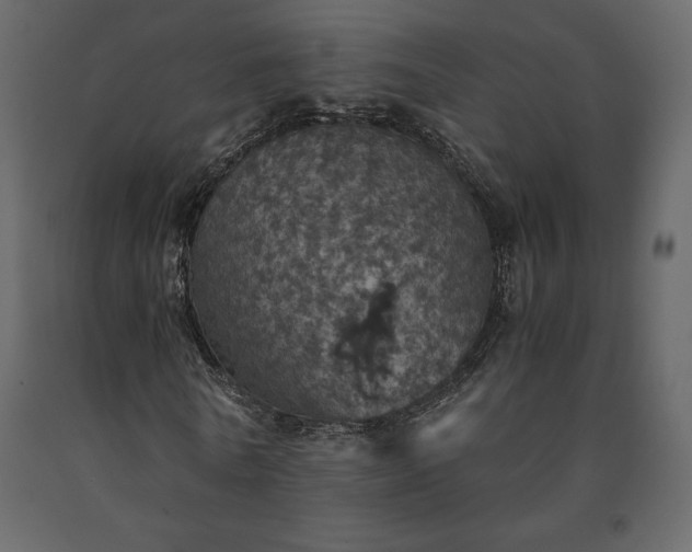 X0000091550770200708241755