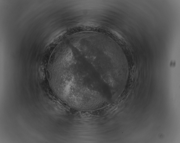 X0000091550774200708241755