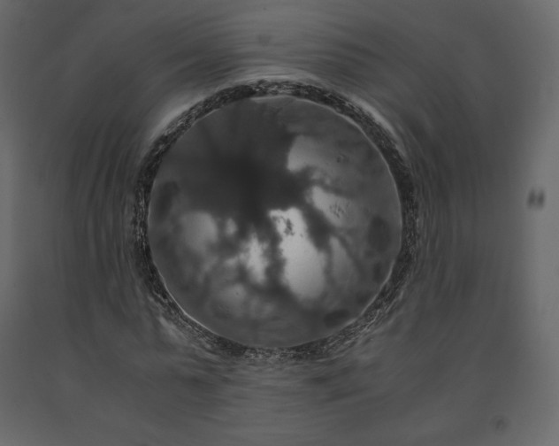 X0000091550775200708241755