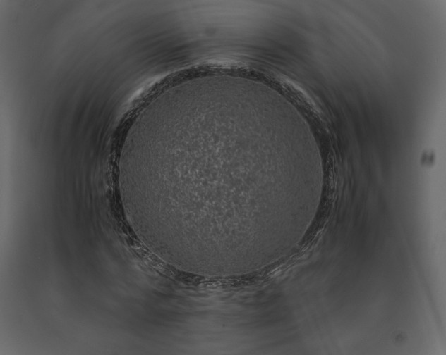 X0000091550776200708241755