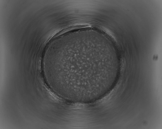 X0000091550777200708241754