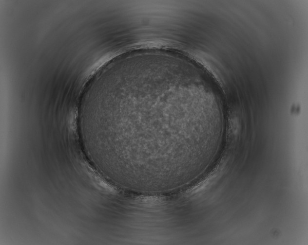 X0000091550778200708241754
