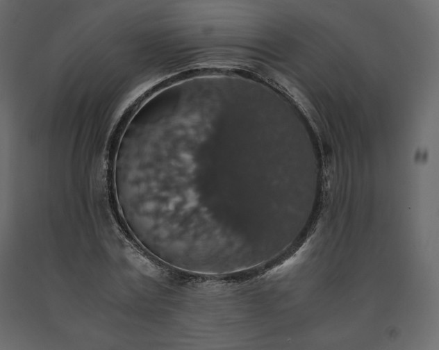 X0000091550779200708241754